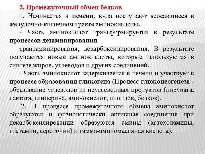 2. Промежуточный обмен белков 1. Начинается в печени, куда поступают всосавшиеся в желудочно кишечном