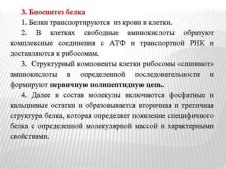 3. Биосинтез белка 1. Белки транспортируются из крови в клетки. 2. В клетках свободные