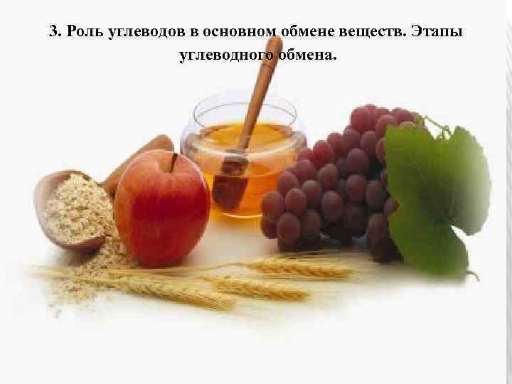 3. Роль углеводов в основном обмене веществ. Этапы углеводного обмена. 