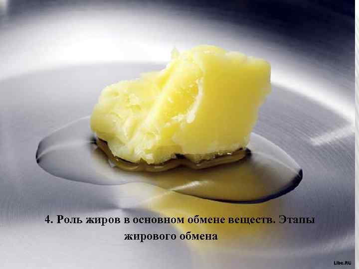 4. Роль жиров в основном обмене веществ. Этапы жирового обмена 
