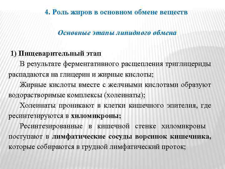 4. Роль жиров в основном обмене веществ Основные этапы липидного обмена 1) Пищеварительный этап