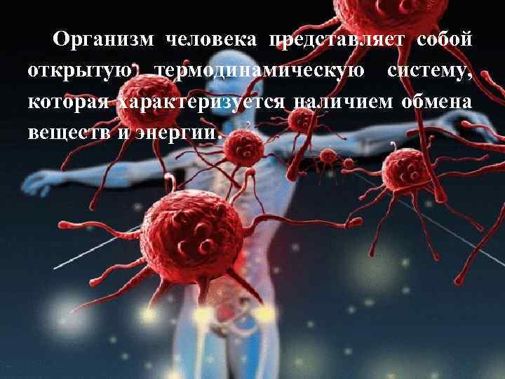 Организм человека представляет собой открытую термодинамическую систему, которая характеризуется наличием обмена веществ и энергии.