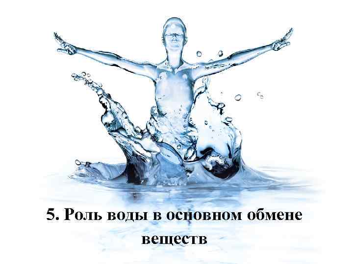 5. Роль воды в основном обмене веществ 