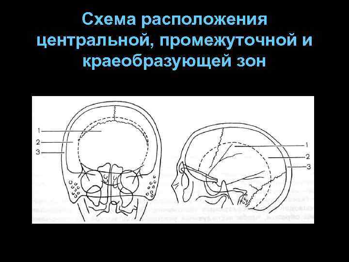 Схема расположения центральной, промежуточной и краеобразующей зон 