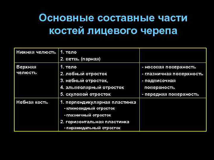 Основные составные части костей лицевого черепа Нижняя челюсть 1. тело 2. ветвь (парная) Верхняя