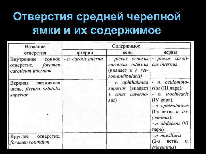 Отверстия средней черепной ямки и их содержимое 