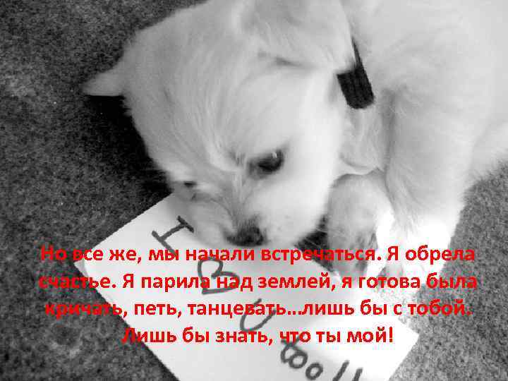 Но все же, мы начали встречаться. Я обрела счастье. Я парила над землей, я