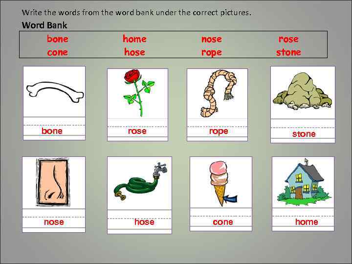 Write the words from the word bank under the correct pictures. Word Bank bone