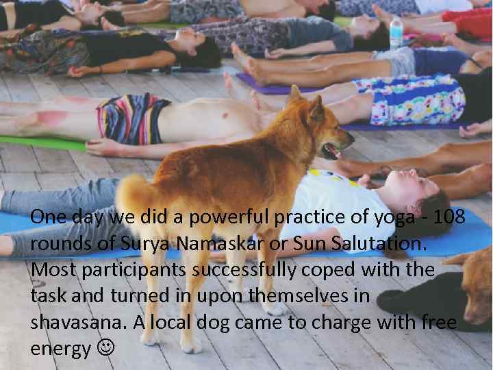 One day we did a powerful practice of yoga - 108 rounds of Surya