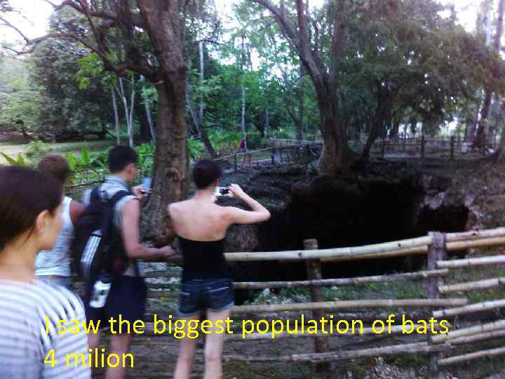 I saw the biggest population of bats 4 milion 