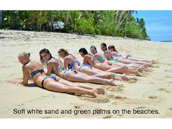 Soft white sand green palms on the beaches. 