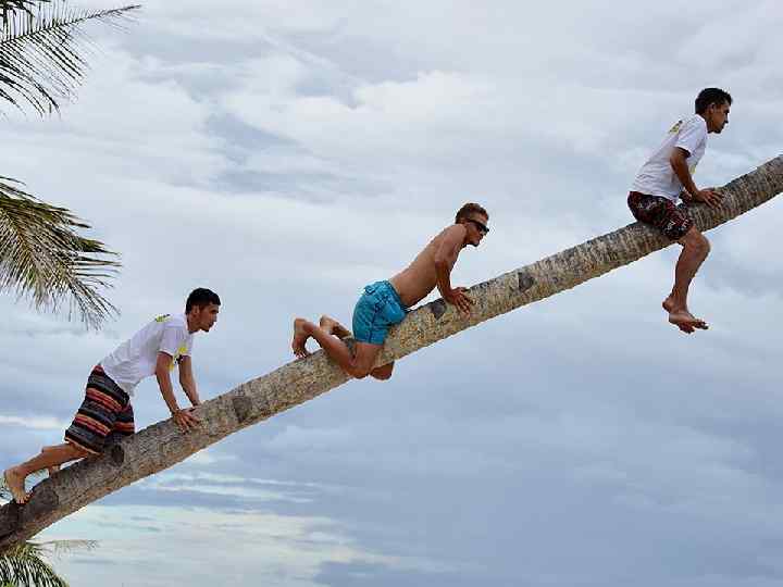 Organized horse racing in the distillation. 