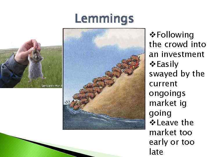 Lemmings v. Following the crowd into an investment v. Easily swayed by the current