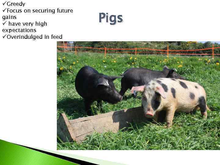 üGreedy üFocus on securing future gains ü have very high expectations üOverindulged in feed