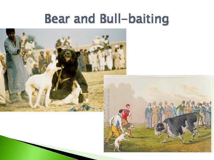 Bear and Bull-baiting 