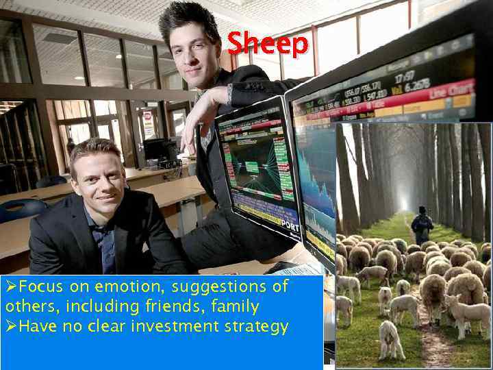 Sheep ØFocus on emotion, suggestions of others, including friends, family ØHave no clear investment