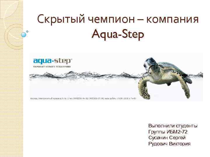 Скрытый чемпион – компания Aqua-Step Выполнили студенты Группы ИБМ 2 -72 Сусанин Сергей Рудович