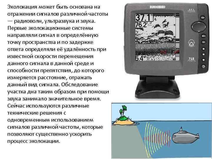 Эхолокация может быть основана на отражении сигналов различной частоты — радиоволн, ультразвука и звука.