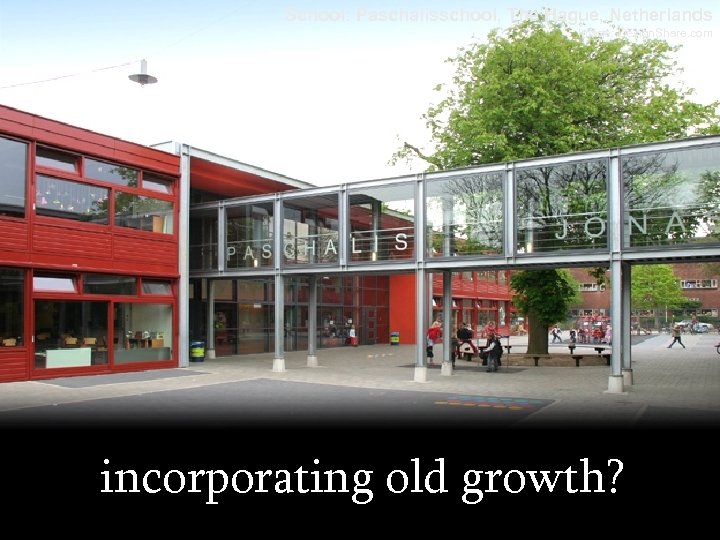 School: Paschalisschool, The Hague, Netherlands Image: Design. Share. com incorporating old growth? 