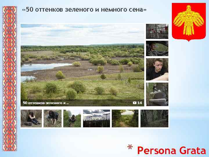  « 50 оттенков зеленого и немного сена» * Persona Grata 