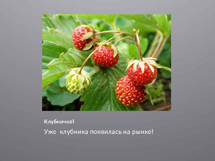 Клубничка! Уже клубника появилась на рынке! 