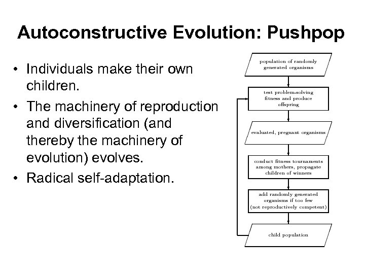 Autoconstructive Evolution: Pushpop • Individuals make their own children. • The machinery of reproduction