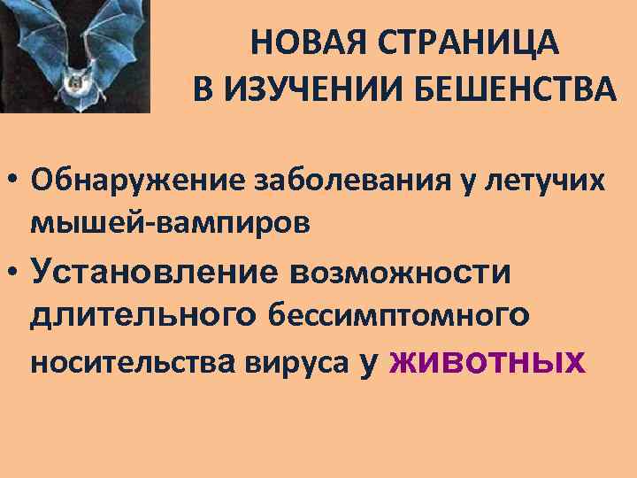 НОВАЯ СТРАНИЦА В ИЗУЧЕНИИ БЕШЕНСТВА • Обнаружение заболевания у летучих мышей-вампиров • Установление возможности