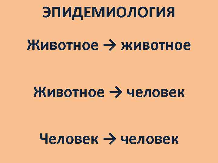 ЭПИДЕМИОЛОГИЯ Животное → животное Животное → человек Человек → человек 