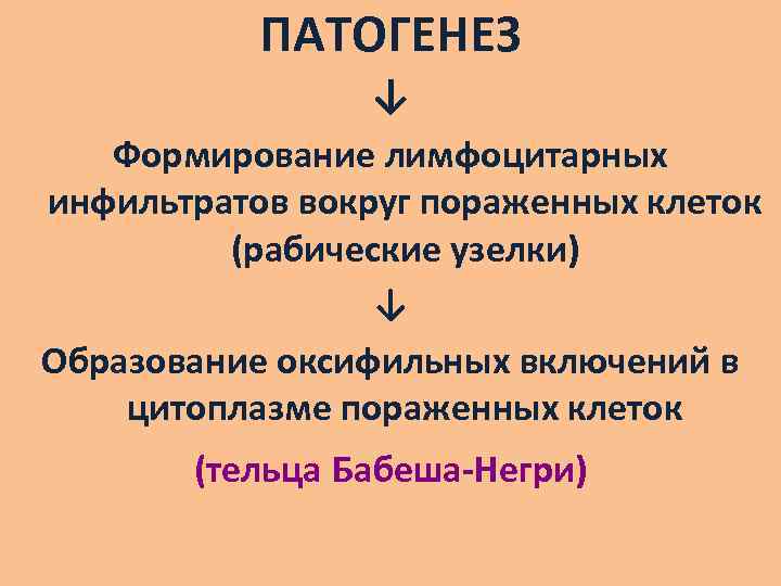 ПАТОГЕНЕЗ ↓ Формирование лимфоцитарных инфильтратов вокруг пораженных клеток (рабические узелки) ↓ Образование оксифильных включений
