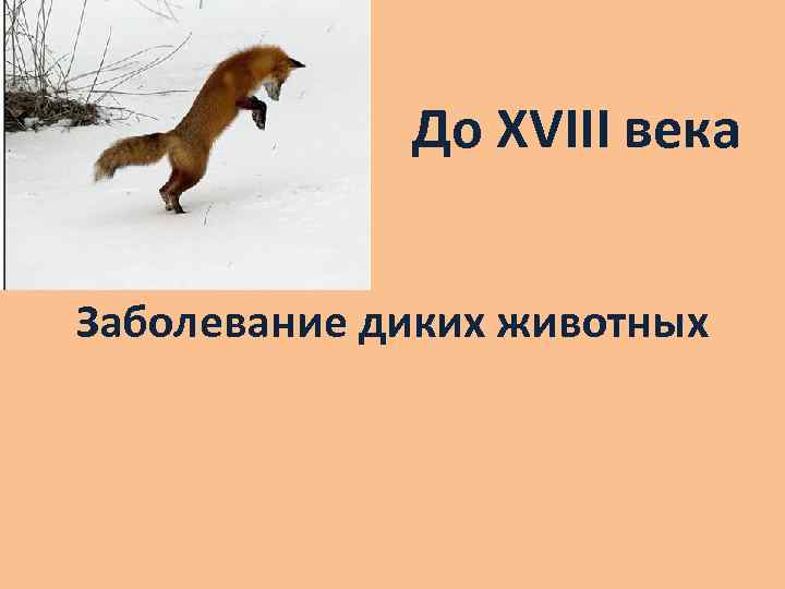До XVIII века Заболевание диких животных 