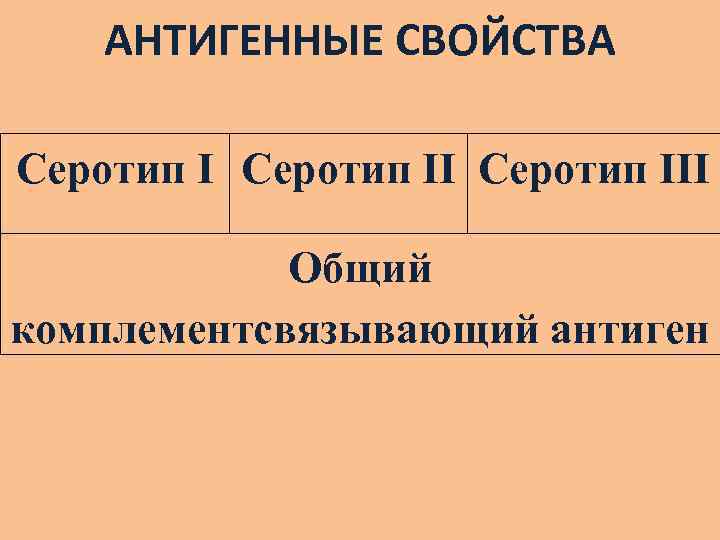 АНТИГЕННЫЕ СВОЙСТВА Серотип III Общий комплементсвязывающий антиген 