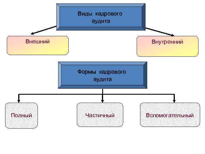 Виды кадрового аудита Внешний Внутренний Формы кадрового аудита Полный Частичный Вспомогательный 