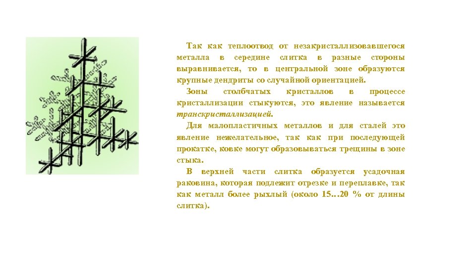 Так как теплоотвод от незакристаллизовавшегося металла в середине слитка в разные стороны выравнивается, то