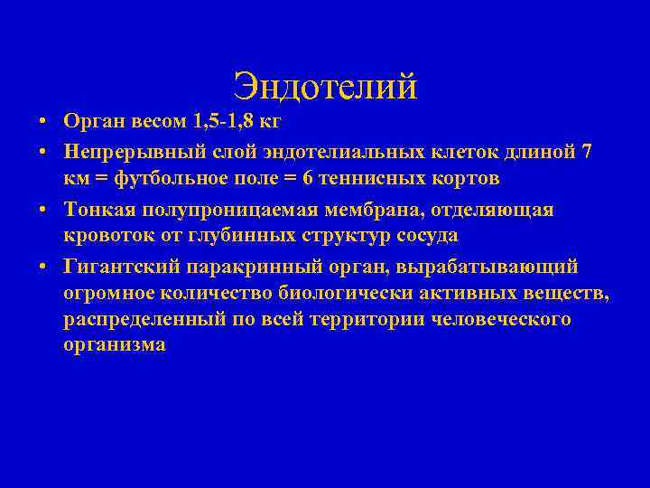 Эндотелий • Орган весом 1, 5 -1, 8 кг • Непрерывный слой эндотелиальных клеток