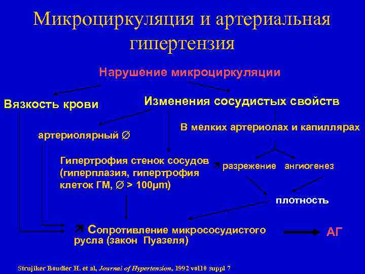 Антитромботические свойства сосудистой стенки