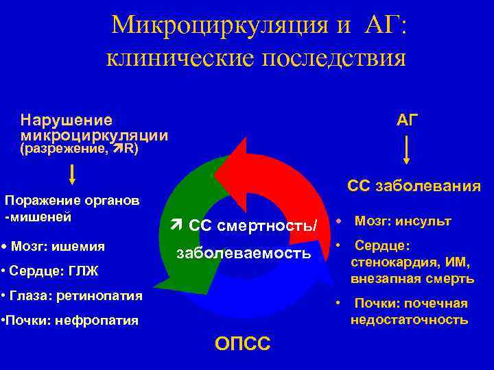 Микроциркуляция и АГ: клинические последствия АГ Нарушение микроциркуляции (разрежение, R) Поражение органов -мишеней •