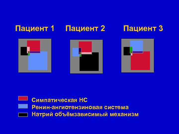 Пациент 1 Пациент 2 Пациент 3 Симпатическая НС Ренин-ангиотензиновая система Натрий объёмзависимый механизм 