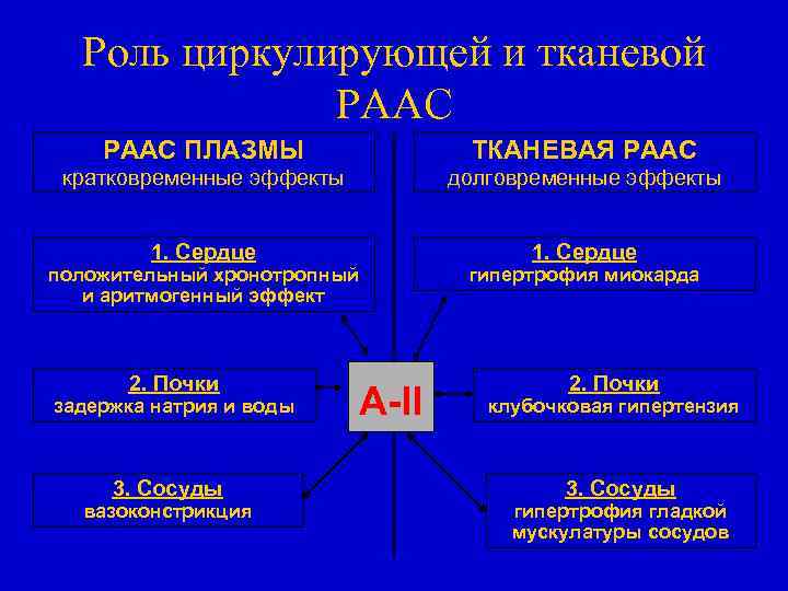 Роль циркулирующей и тканевой РААС ПЛАЗМЫ ТКАНЕВАЯ РААС кратковременные эффекты долговременные эффекты 1. Сердце