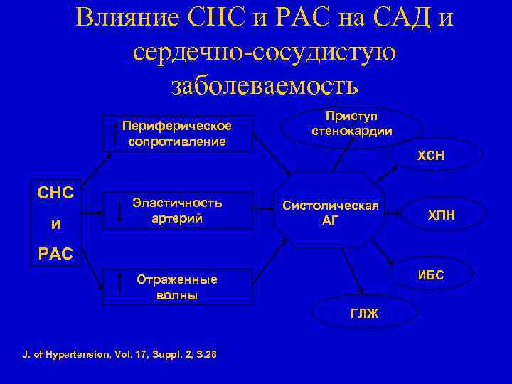 Влияние СНС и РАС на САД и сердечно-сосудистую заболеваемость Периферическое сопротивление Приступ стенокардии ХСН