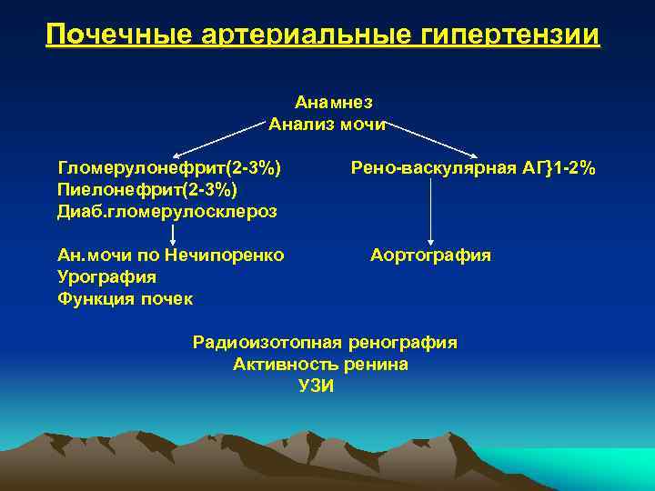 Почечные артериальные гипертензии Анамнез Анализ мочи Гломерулонефрит(2 -3%) Пиелонефрит(2 -3%) Диаб. гломерулосклероз Ан. мочи