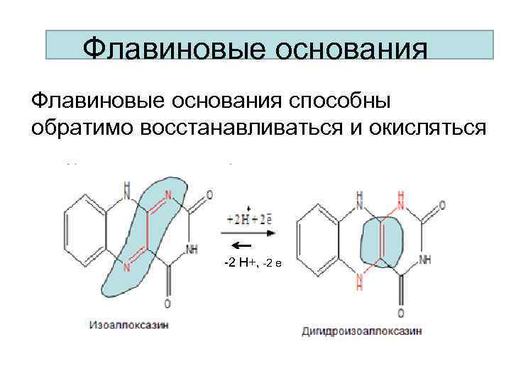 Флавиновые основания способны Флавин обратимо восстанавливаться и окисляться -2 Н+, -2 е 