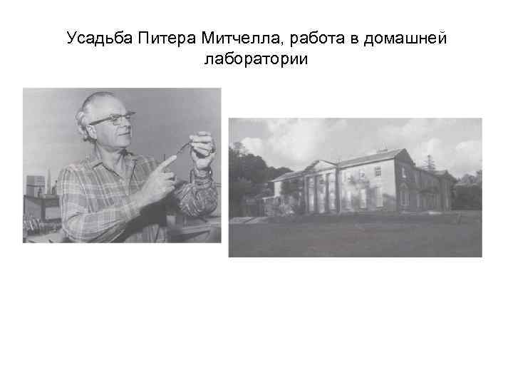 Усадьба Питера Митчелла, работа в домашней лаборатории 