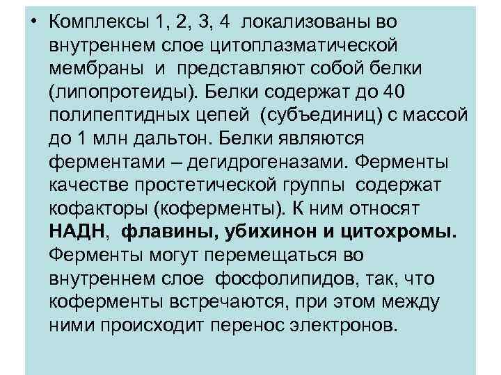  • Комплексы 1, 2, 3, 4 локализованы во внутреннем слое цитоплазматической мембраны и