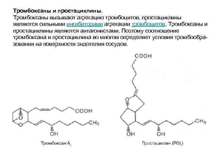 Тромбоксаны и простациклины. Тромбоксаны вызывают агрегацию тромбоцитов, простациклины являются сильными ингибиторами агрегации тромбоцитов. Тромбоксаны