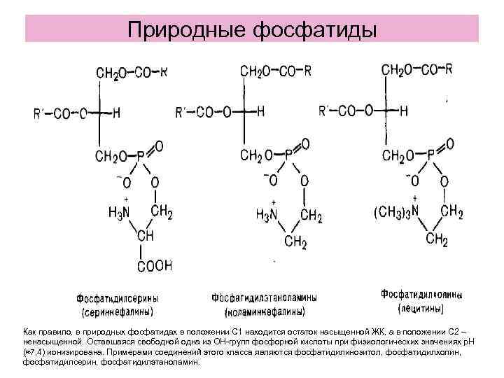 Природные фосфатиды Как правило, в природных фосфатидах в положении С 1 находится остаток насыщенной