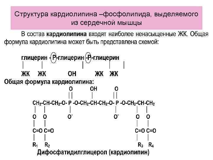 Структура кардиолипина –фосфолипида, выделяемого из сердечной мышцы 