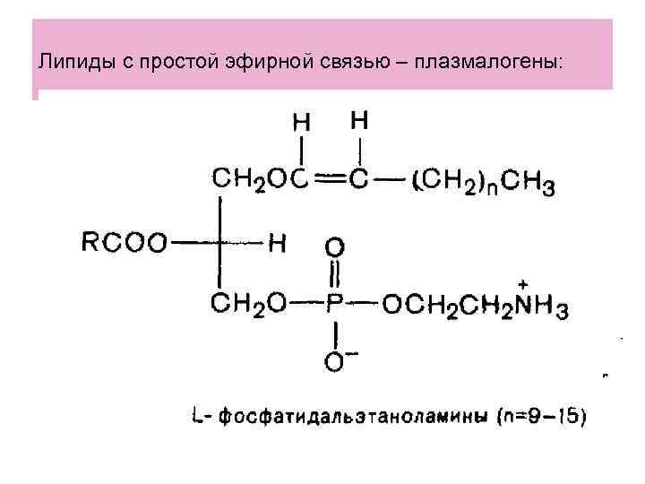 Липиды с простой эфирной связью – плазмалогены: 