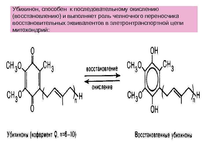 Убихинон, способен к последовательному окислению (восстановлению) и выполняет роль челночного переносчика восстановительных эквивалентов в
