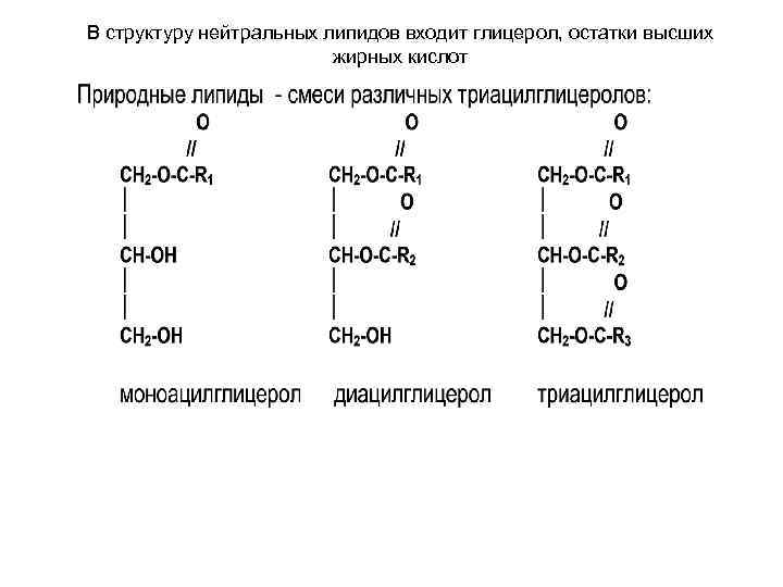 В структуру нейтральных липидов входит глицерол, остатки высших жирных кислот 