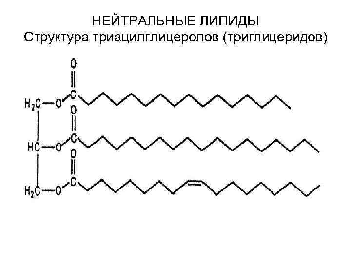 НЕЙТРАЛЬНЫЕ ЛИПИДЫ Структура триацилглицеролов (триглицеридов) 